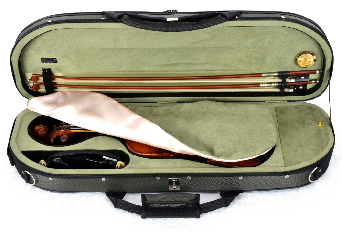 violin case Revana