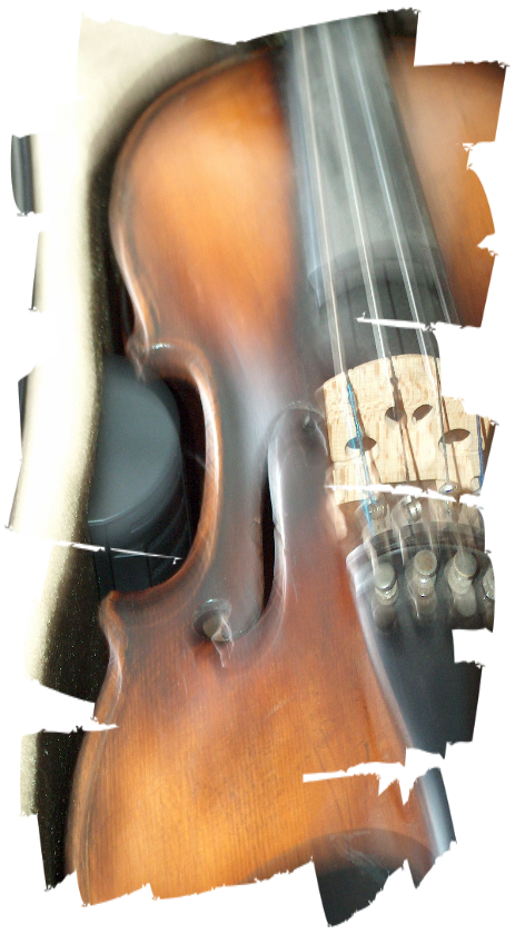 violin violin