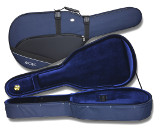 classical guitar cases Andaz - colors GcG