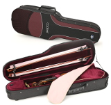 violin case - Artonus Cadem+ - colour WcB