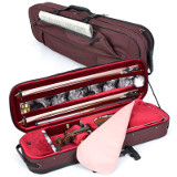 violin case - Artonus Geeston-Fresco-Pro - colour W-D1Bc