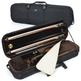 violin case - Artonus Geeston - colour CR