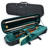 violin case - Artonus Geeston - colour CZ