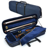 violin case - Artonus Geeston - colour GG