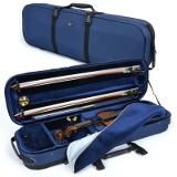 violin case - Artonus Geeston - colour NG