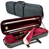 violin case - Artonus Geeston - colour SB