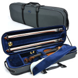 violin case - Artonus Geeston - colour SG