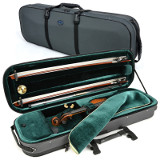 violin case - Artonus Geeston - colour SZ