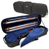 violin case - Artonus Quart - colour CG