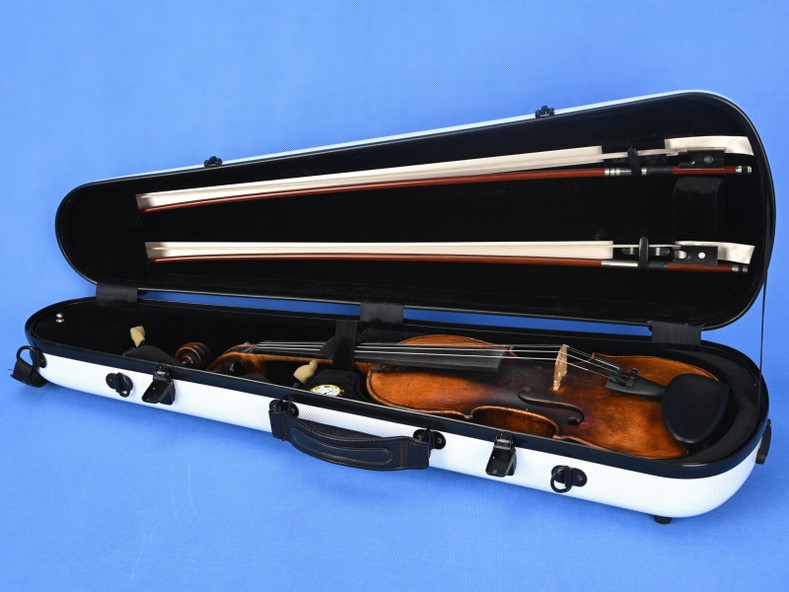 violin case FRASE ARTONUS professional security for your